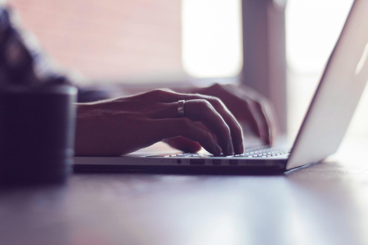 Kontakt zu Siloventiora aufnehmen